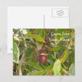 Cacaoboom Briefkaart (Voorkant / Achterkant)