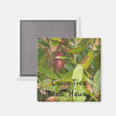 Cacaoboom in Hawaï Magneet (Voorkant / Achterkant)