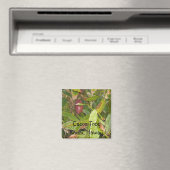 Cacaoboom in Hawaï Magneet (Insitu (Vaatwasser))