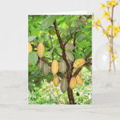 cacaoboom kaart (Gele Bloem)