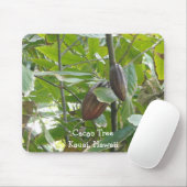Cacaoboom, Kauai, Hawaï Muismat (Met muis)
