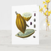 Cacaoboon  illustratiekaart kaart (Gele Bloem)