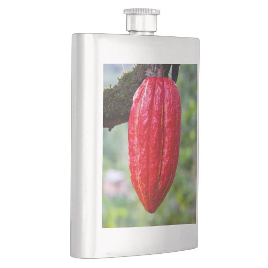 cacaodraden rood flacon (Rechts)