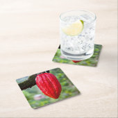 cacaodraden rood kartonnen onderzetters (Insitu)