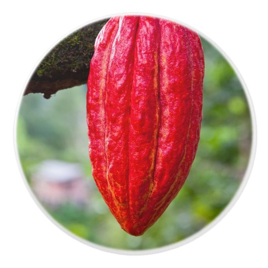 cacaodraden rood keramische knop (Voorkant)
