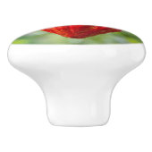 cacaodraden rood keramische knop (Zijkant)