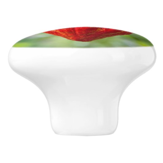 cacaodraden rood keramische knop (Zijkant)