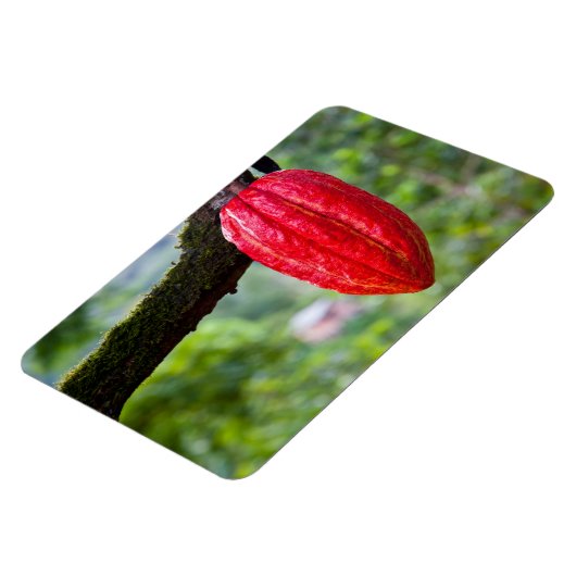 cacaodraden rood magneet (Linkerzijde)