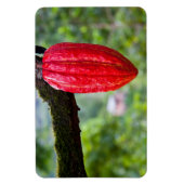 cacaodraden rood magneet (Verticaal)