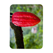 cacaodraden rood magneet (Verticaal)