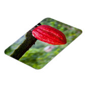 cacaodraden rood magneet (Linkerzijde)