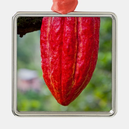 cacaodraden rood metalen ornament (Voorkant)