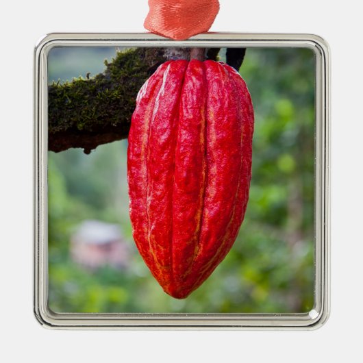 cacaodraden rood metalen ornament (Voorkant)