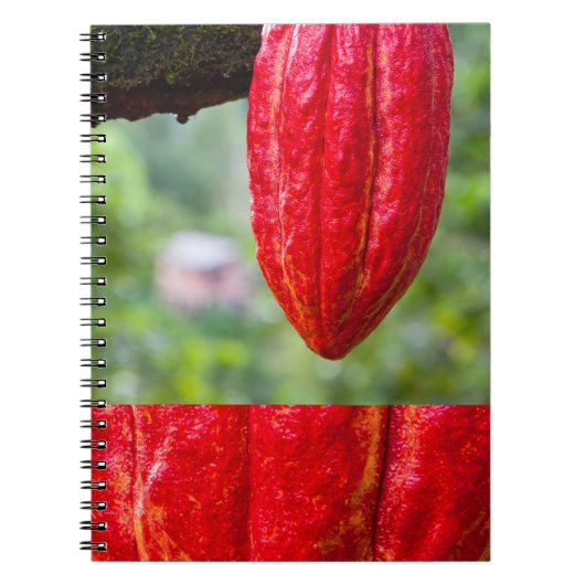 cacaodraden rood notitieboek (Voorkant)