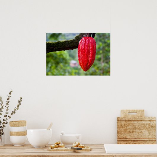 cacaodraden rood poster (Keuken)