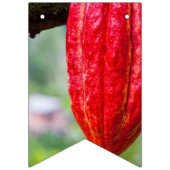 cacaodraden rood vlaggetjes (Derde vlag)