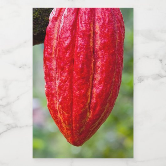 cacaodraden rood voedselcontainer etiket (Enkel label)