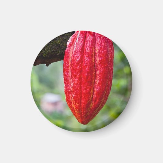 cacaopeul rood magneet (Voorkant)