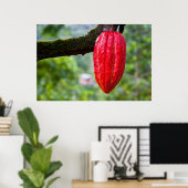cacaopeul rood poster (Thuiskantoor)