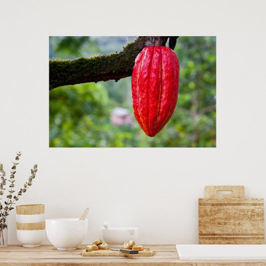 cacaopeul rood poster (Keuken)
