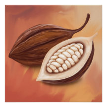 cacaopod