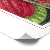 Cacaopoden Poster (Hoek)