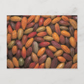 Cacaopulaten Briefkaart (Voorkant)