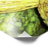 Cacaopulaten Foto Afdruk (Hoek)