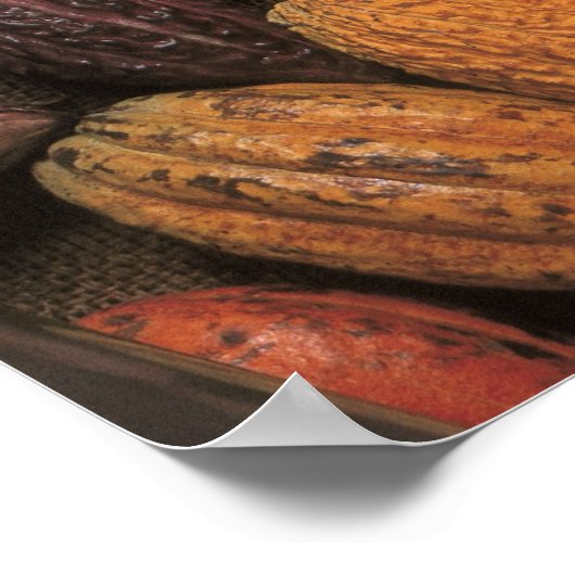 Cacaopulaten Poster (Hoek)