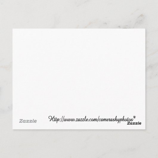 cacaoreceptkaart briefkaart (Achterkant)