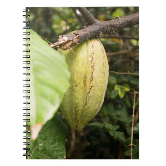 cacaovrucht notitieboek (Voorkant)