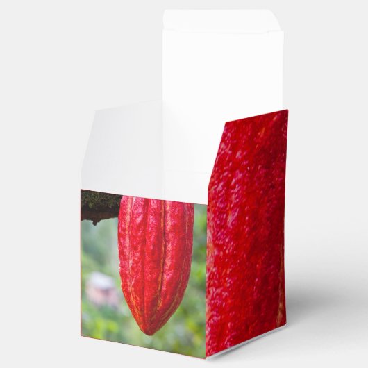 cacaovrucht rood bedankdoosjes (Geopend)