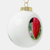 cacaovrucht rood keramische bal ornament (Links)