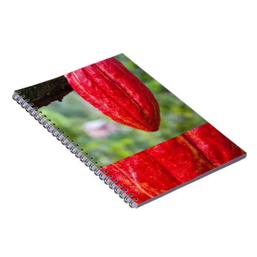 cacaovrucht rood notitieboek (Rechterzijde)