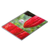 cacaovrucht rood notitieboek (Linkerzijde)