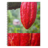 cacaovrucht rood notitieboek (Voorkant)