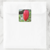 cacaovrucht rood vierkante sticker (Tas)