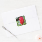 cacaovrucht rood vierkante sticker (Envelop)
