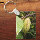 cacaovrucht sleutelhanger (Voorkant)