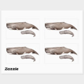 Cachalote, madre y cría rechthoekige sticker (Vel)