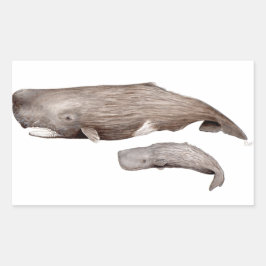 Cachalote, madre y cría rechthoekige sticker