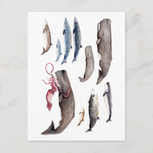 Cachalote y zifios: Ballenas de las profundidades Briefkaart