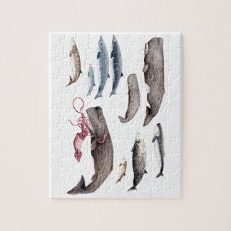 Cachalote y zifios: Ballenas de las profundidades Legpuzzel
