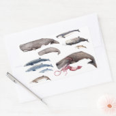 Cachalote y zifios: Ballenas de las profundidades Rechthoekige Sticker (Envelop)