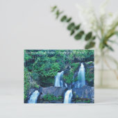 Cachoeira Véu de Noiva Briefkaart (Staand voorkant)