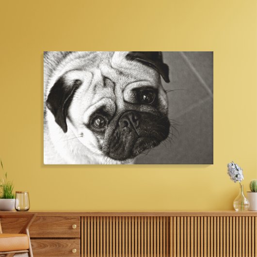 Cachorro de Pug sobre lienzo Canvas Afdruk (Insitu (Woonkamer))