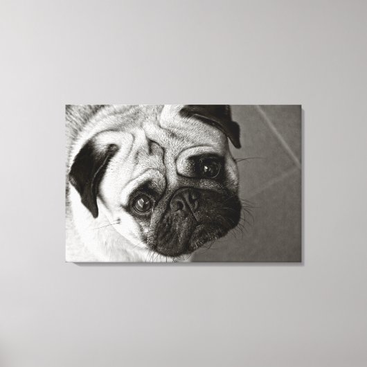 Cachorro de Pug sobre lienzo Canvas Afdruk (Voorkant)