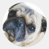 Cachorro Ronde Sticker (Voorkant)