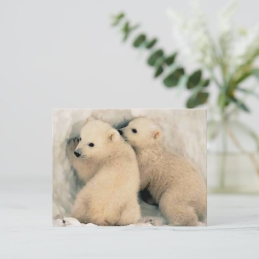 Cachorros de Oso Polar Briefkaart (Staand voorkant)