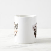 Cachorros Koffiemok (Center)